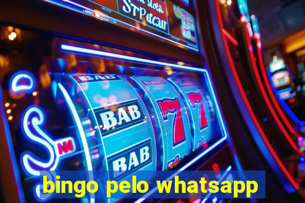 bingo pelo whatsapp